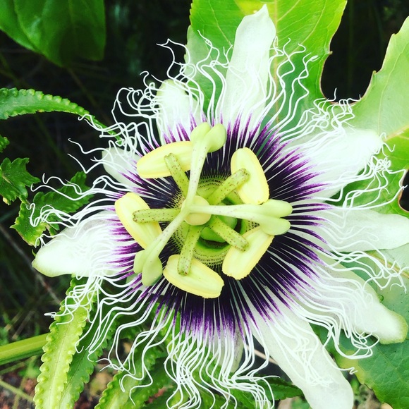 ππ€ Listing Information - Picture 5 of 6